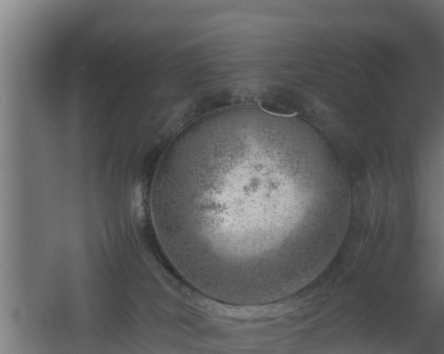 X0000061110038200511241655