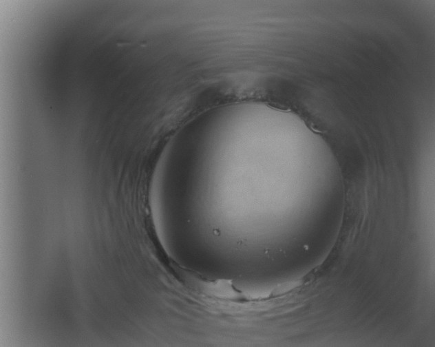 X0000061110039200511241655