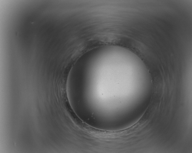 X0000061110040200511241655