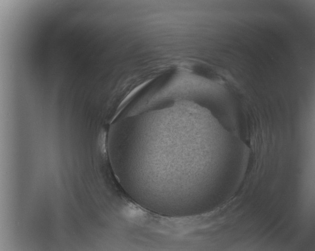 X0000061110041200511241655