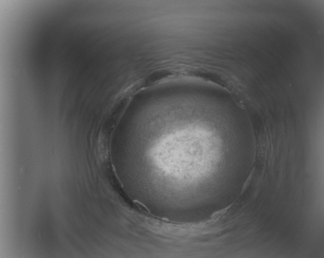 X0000061110043200511241655