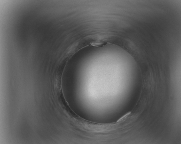 X0000061110044200511241655