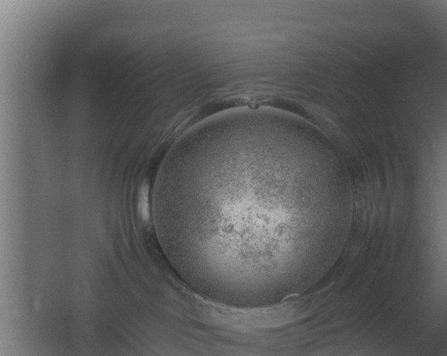 X0000061110046200511241655