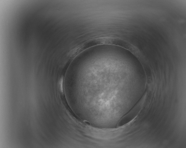 X0000061110047200511241655