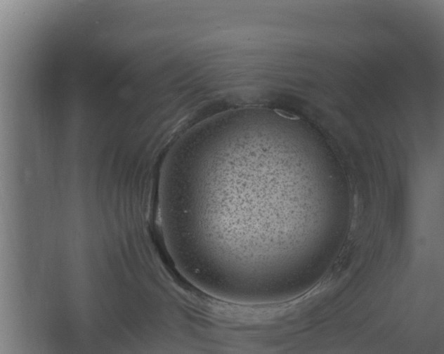 X0000061110048200511241655