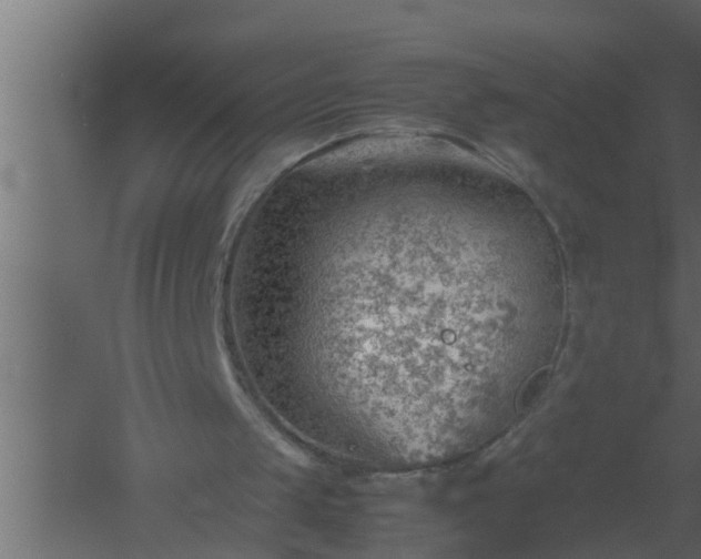 X0000061110049200511241654