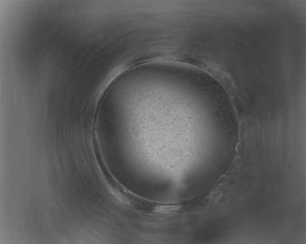 X0000061110051200511241654