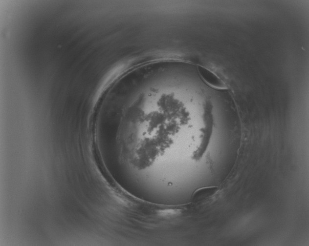 X0000061110053200511241654