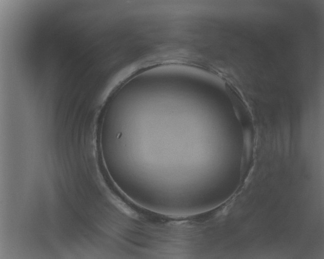 X0000061110054200511241654