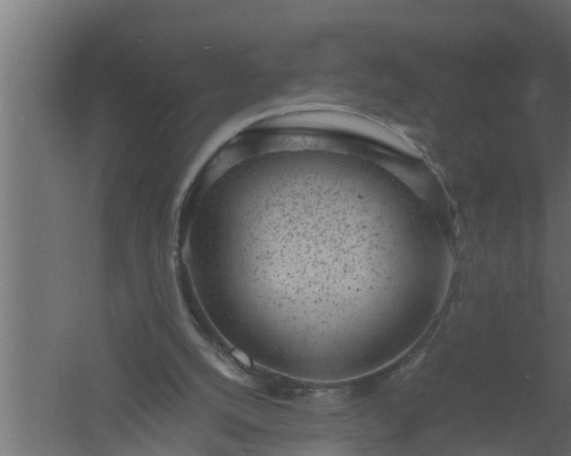 X0000061110056200511241654