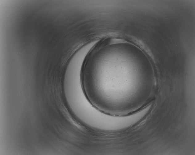 X0000061110057200511241654