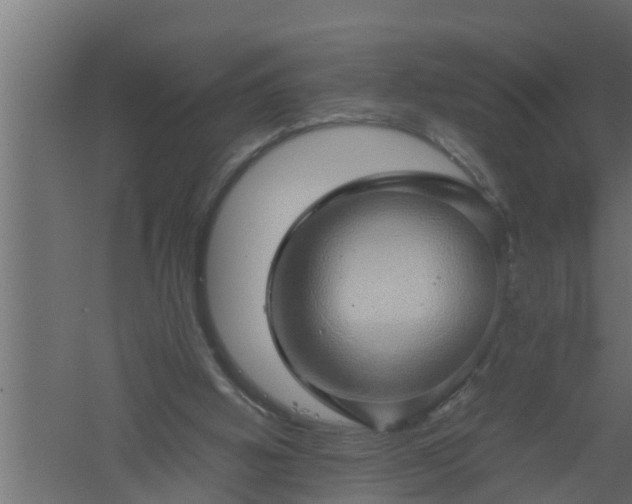 X0000061110058200511241654