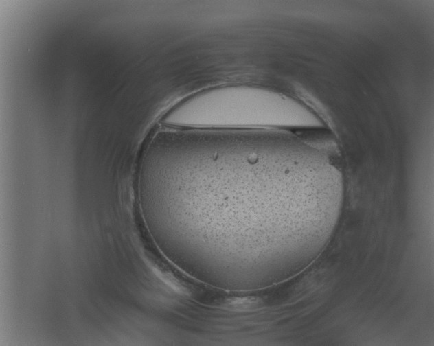 X0000061110059200511241654