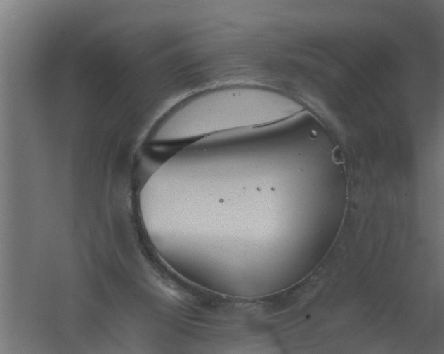 X0000061110060200511241654