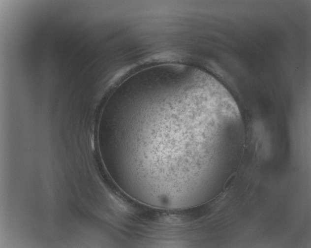 X0000061110062200511241654