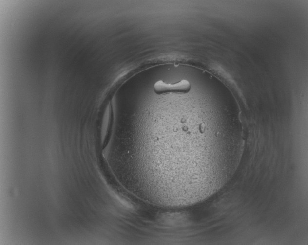 X0000061110063200511241654