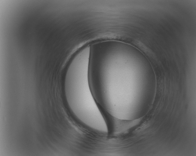 X0000061110064200511241654