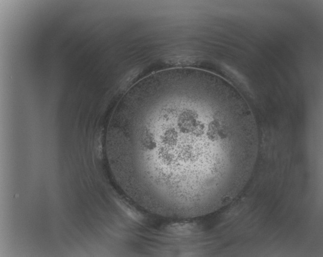 X0000061110065200511241654