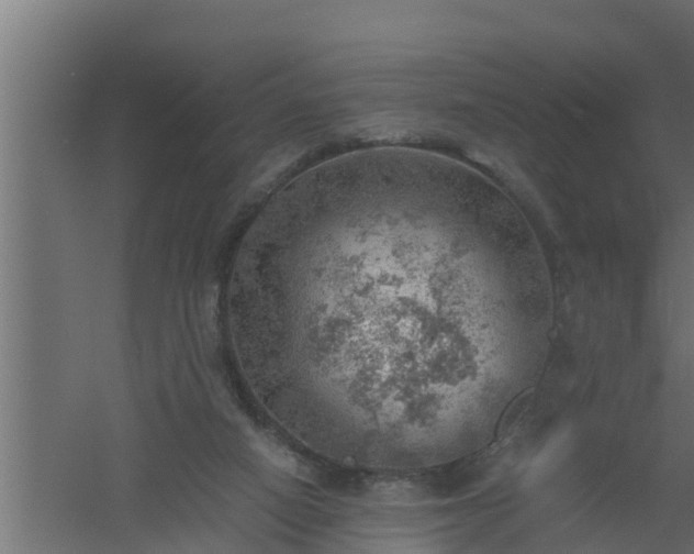 X0000061110066200511241654