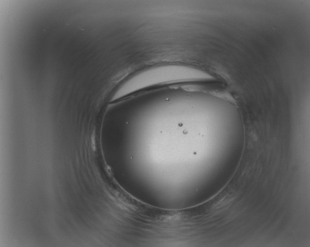 X0000061110068200511241654