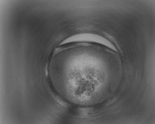 X0000061110069200511241654