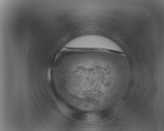 X0000061110070200511241654