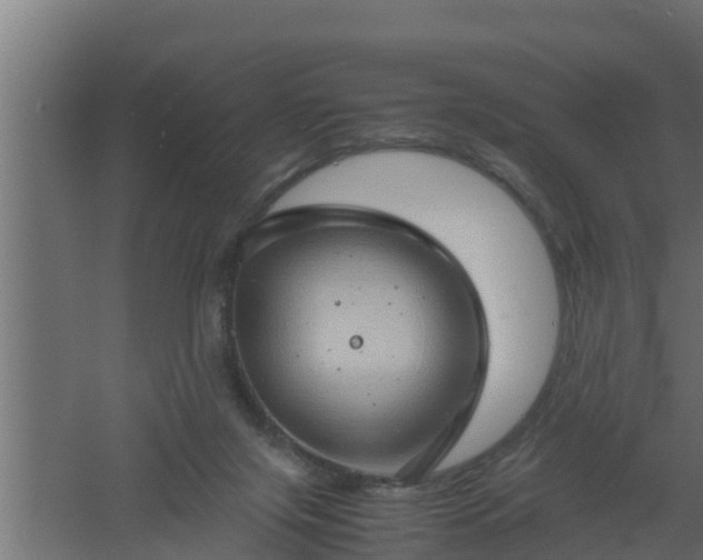 X0000061110071200511241654