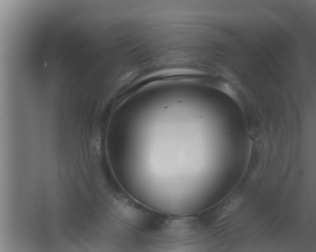 X0000061110072200511241654