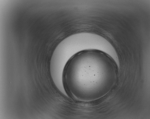 X0000061110073200511241654