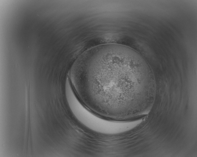 X0000061110075200511241654