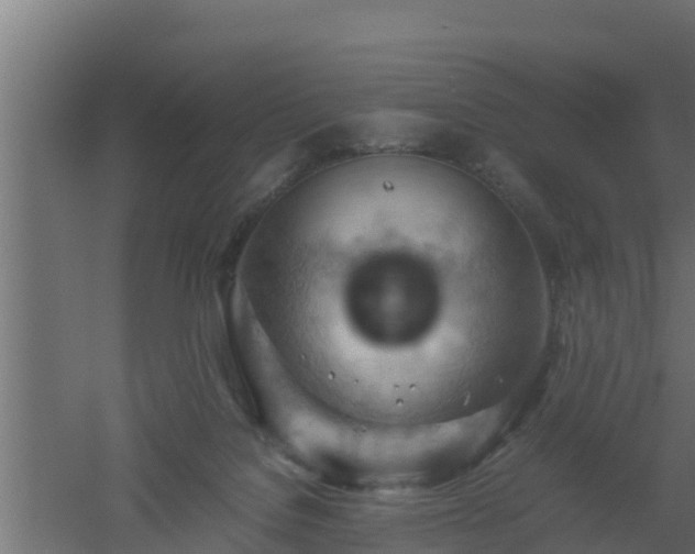 X0000061110076200511241654