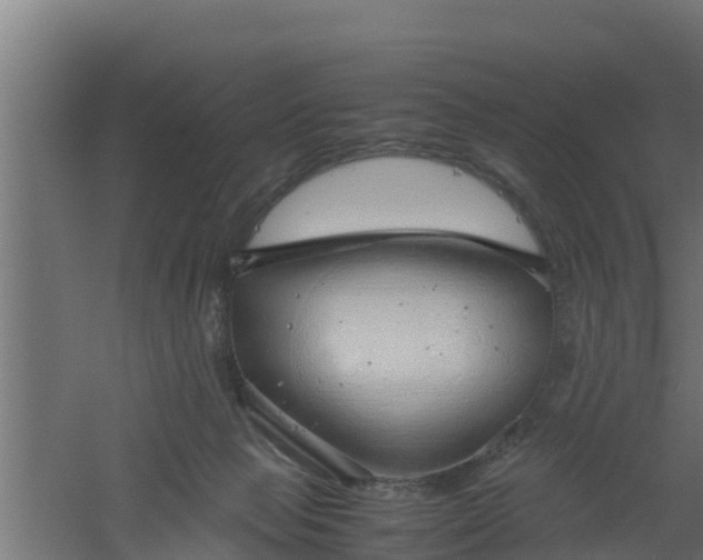 X0000061110077200511241654