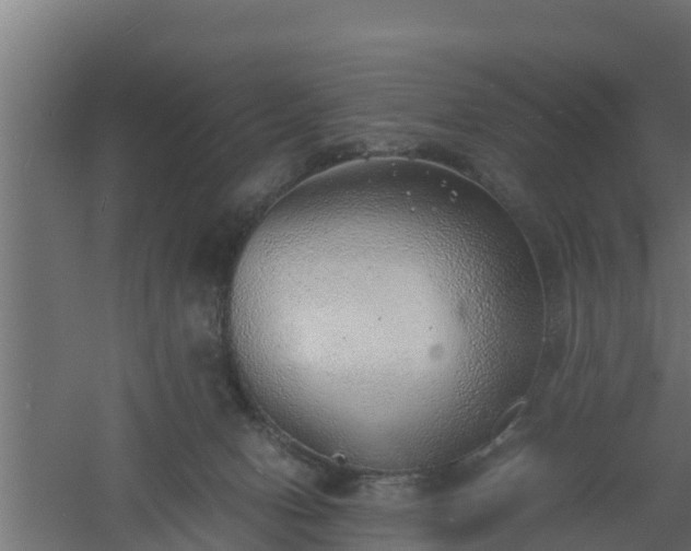 X0000061110078200511241654