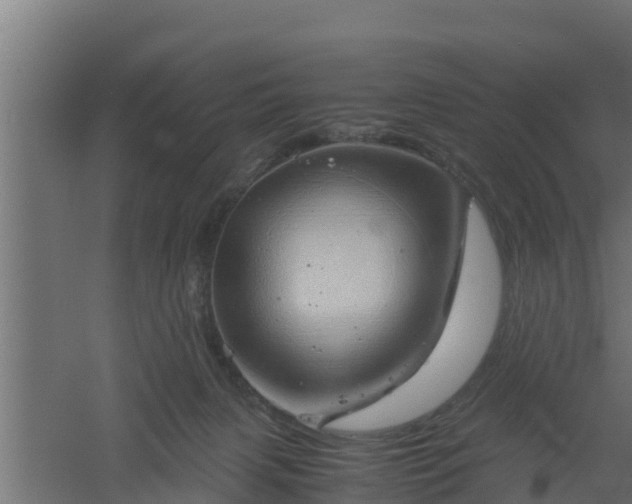 X0000061110079200511241654