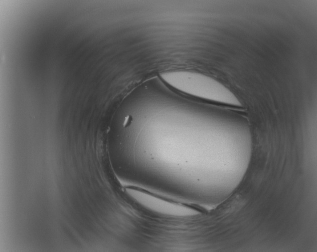 X0000061110080200511241654