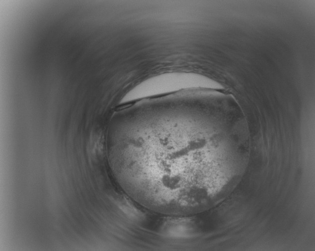 X0000061110081200511241654