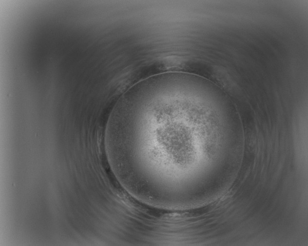 X0000061110082200511241654