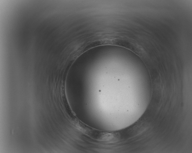 X0000061110083200511241654