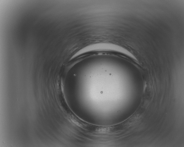 X0000061110084200511241654