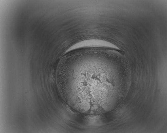 X0000061110085200511241654