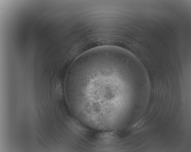 X0000061110086200511241654