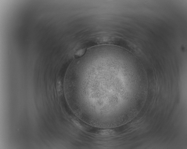 X0000061110087200511241654