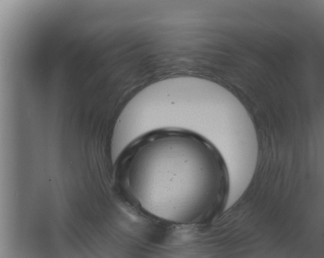 X0000061110088200511241654