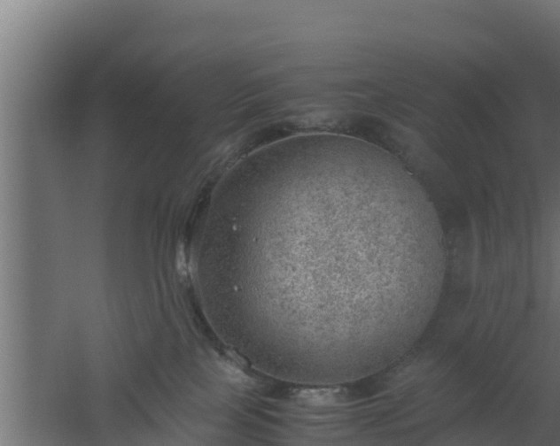 X0000061110089200511241654