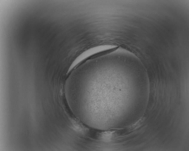 X0000061110090200511241654