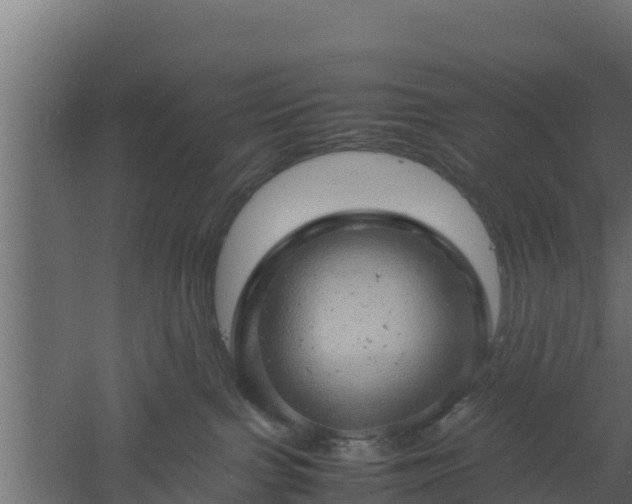 X0000061110091200511241654