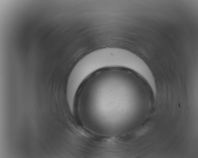 X0000061110092200511241654