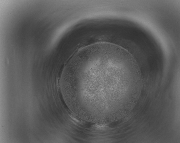 X0000061110093200511241655