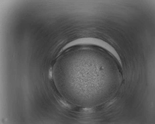 X0000061110095200511241655