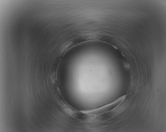 X0000061110096200511241655